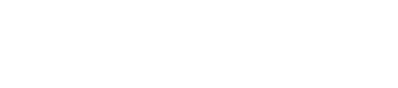 Veridian — Professional Consultancy Services
